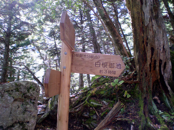 登山道の案内標識.jpg